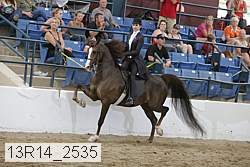 13r14_2535 proof