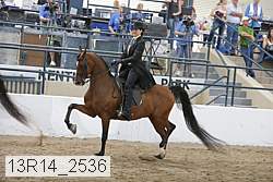 13r14_2536 proof