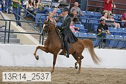 13r14_2537 proof