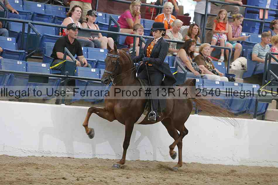 Proof 13r14_2540