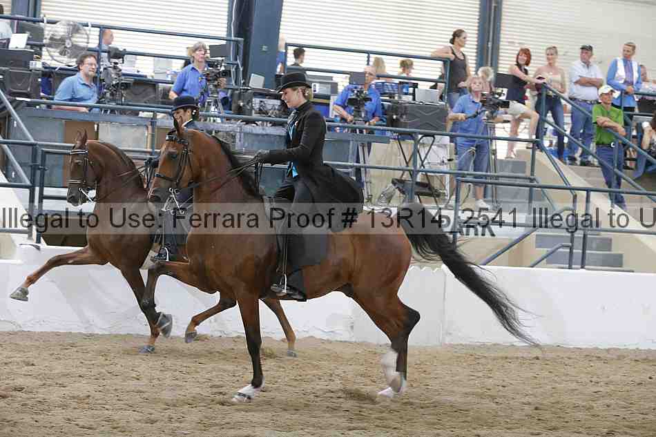 Proof 13r14_2541