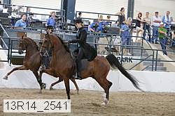 13r14_2541 proof