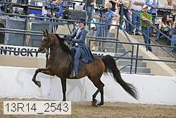 13r14_2543 proof