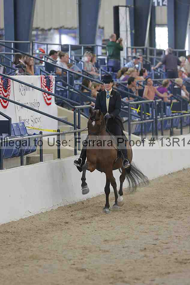 Proof 13r14_2544