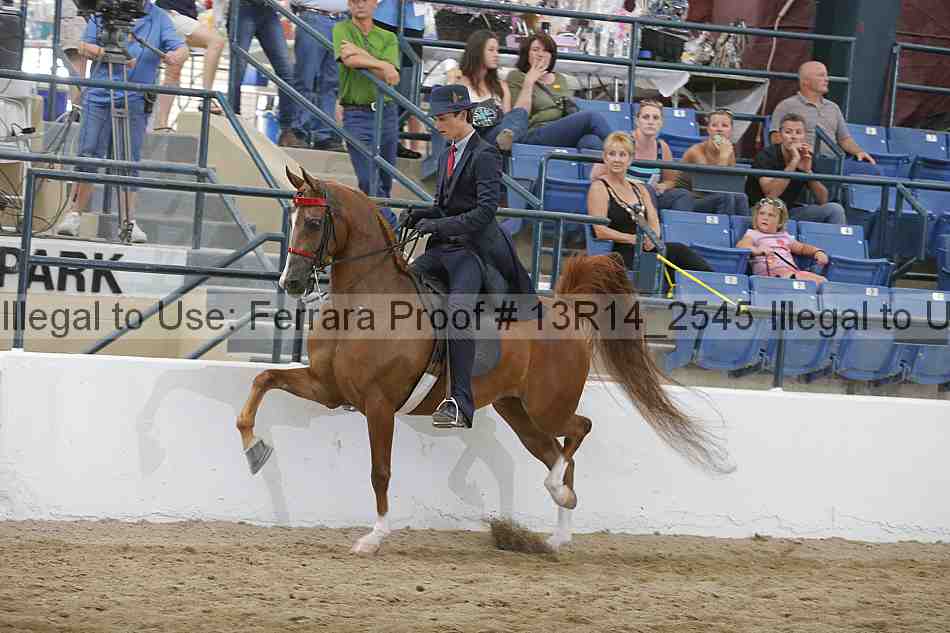 Proof 13r14_2545