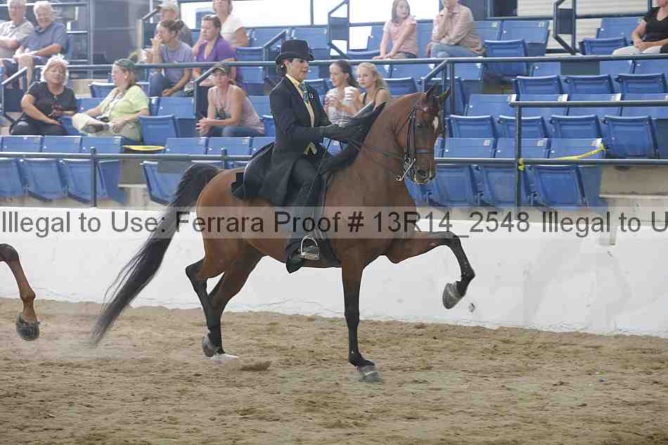 Proof 13r14_2548