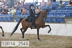 13r14_2548 proof