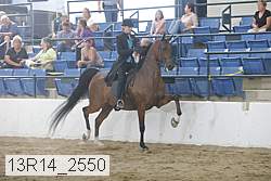 13r14_2550 proof