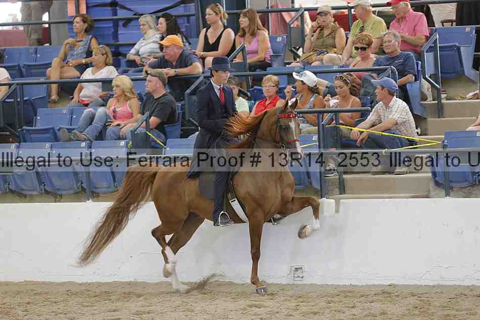Proof 13r14_2553