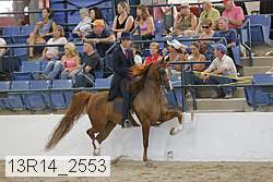 13r14_2553 proof
