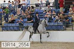 13r14_2554 proof