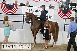 13r14_2557 proof