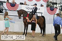 13r14_2562 proof