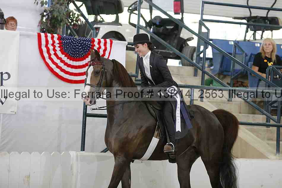 Proof 13r14_2563