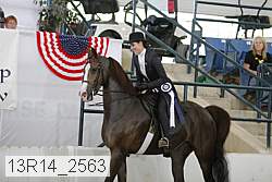 13r14_2563 proof