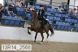 13r14_2568 proof