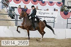 13r14_2569 proof