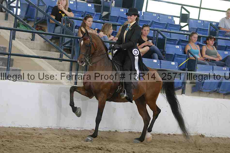 Proof 13r14_2571