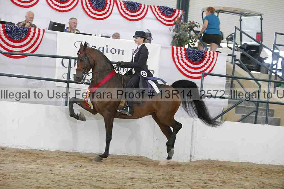 Proof 13r14_2572