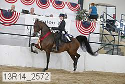 13r14_2572 proof