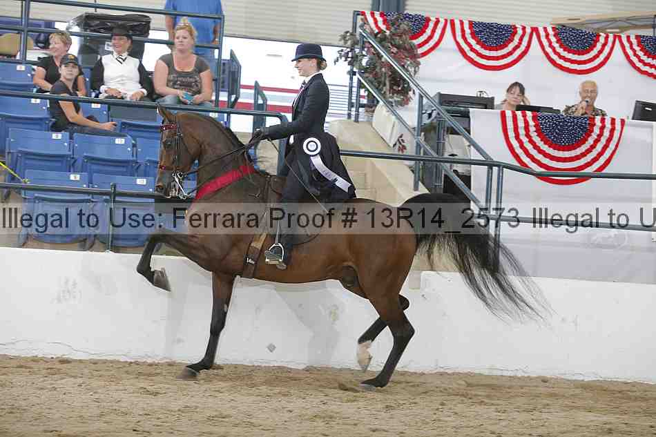 Proof 13r14_2573