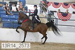 13r14_2573 proof