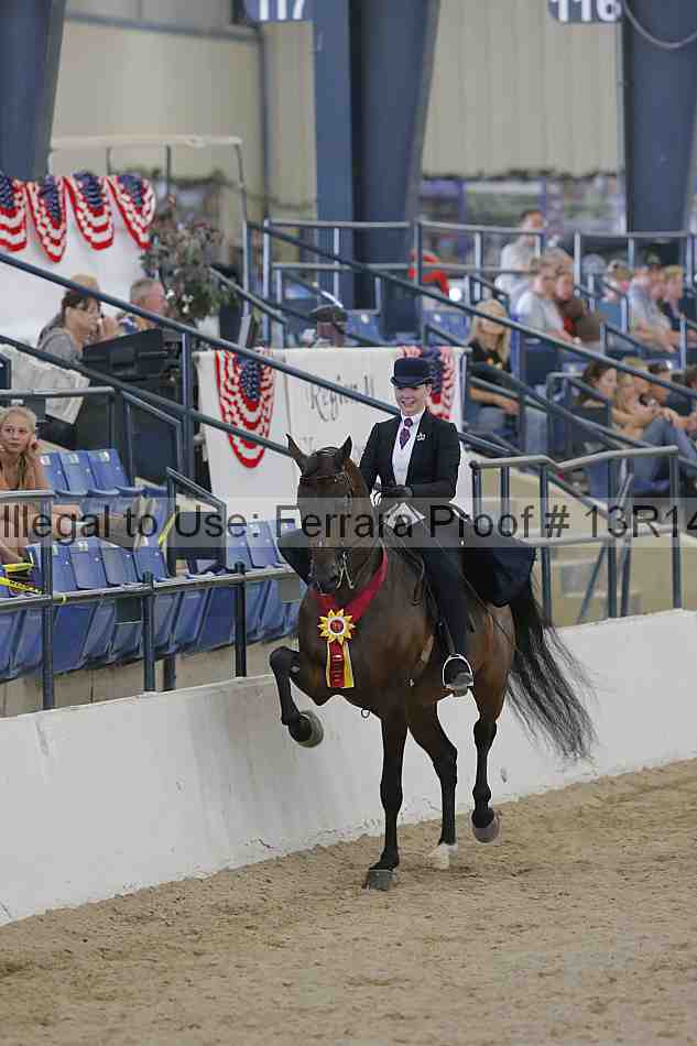 Proof 13r14_2575