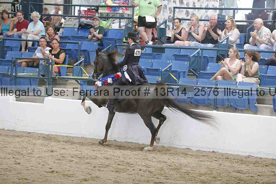 Proof 13r14_2576