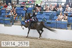 13r14_2576 proof