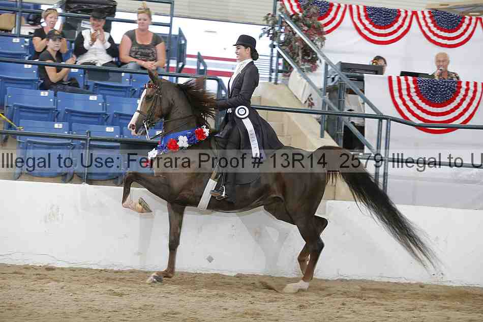 Proof 13r14_2579