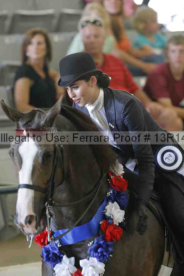 Proof 13r14_2583