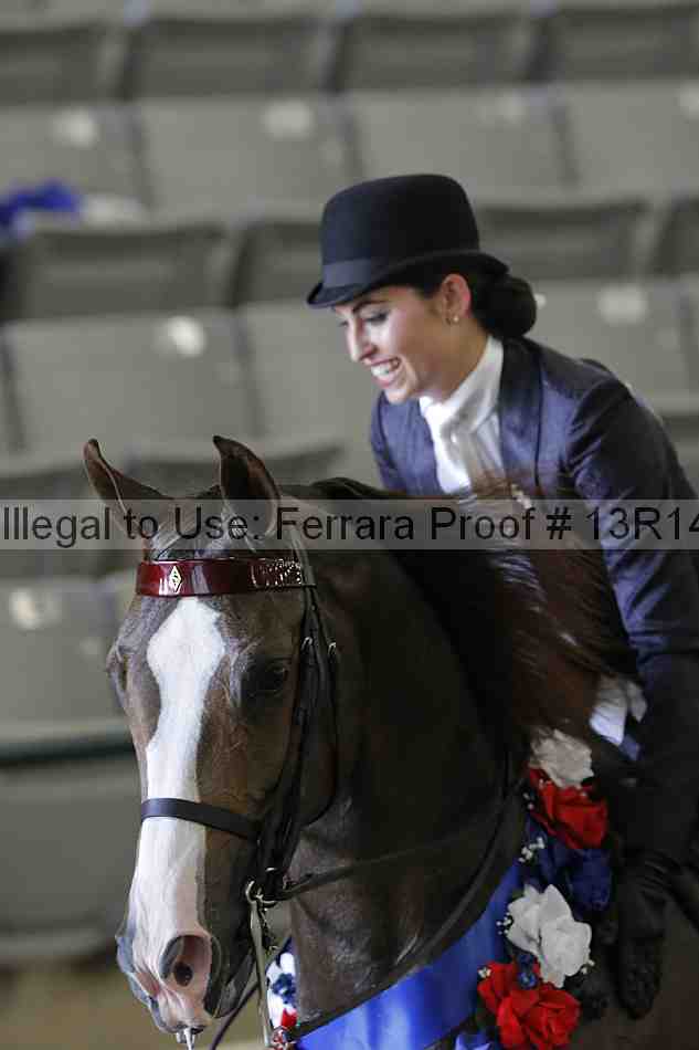Proof 13r14_2584