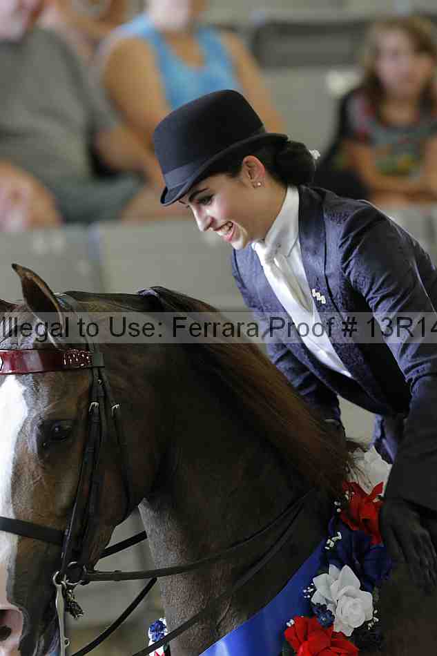 Proof 13r14_2585