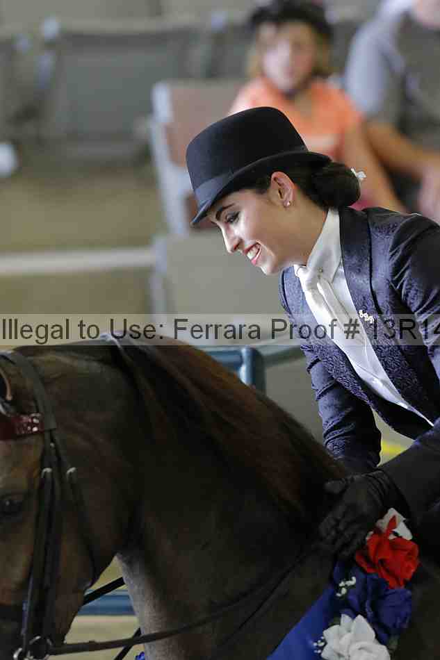 Proof 13r14_2586