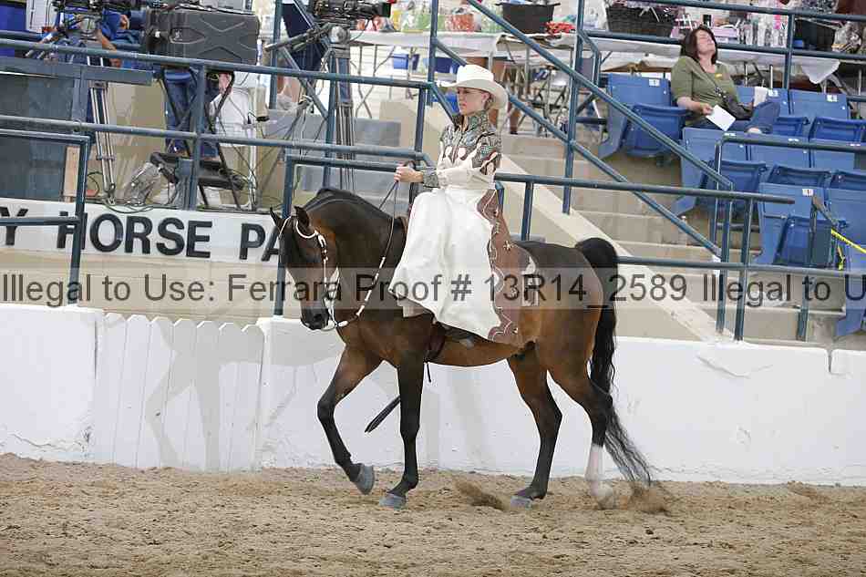 Proof 13r14_2589