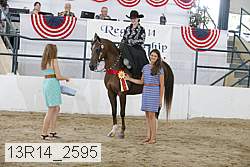 13r14_2595 proof