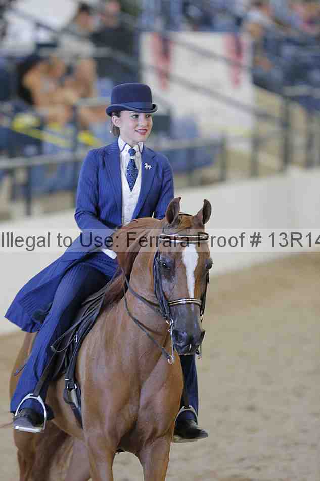 Proof 13r14_2633