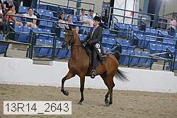 13r14_2643 proof