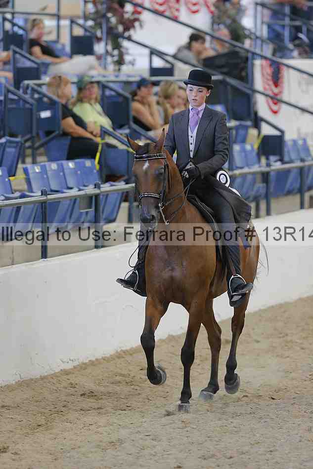 Proof 13r14_2647