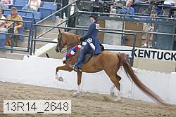 13r14_2648 proof