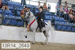 13r14_2649 proof