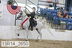 13r14_2650 proof