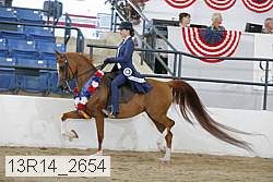 13r14_2654 proof