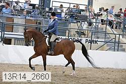 13r14_2660 proof