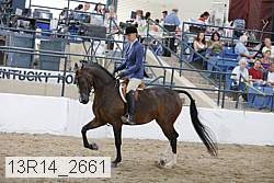 13r14_2661 proof