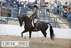 13r14_2662 proof