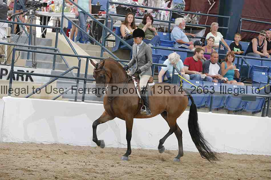 Proof 13r14_2663