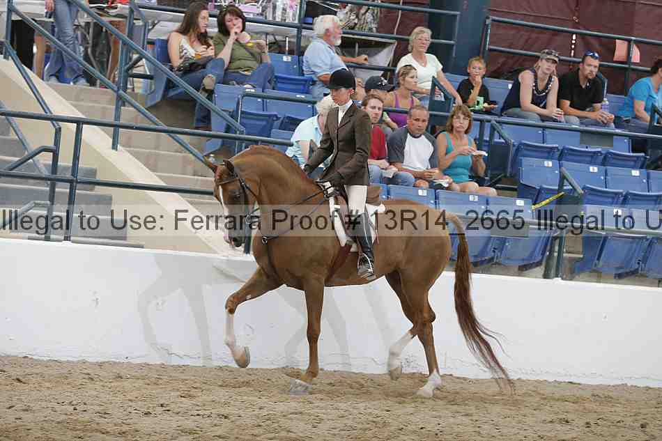 Proof 13r14_2665