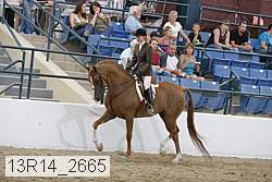 13r14_2665 proof