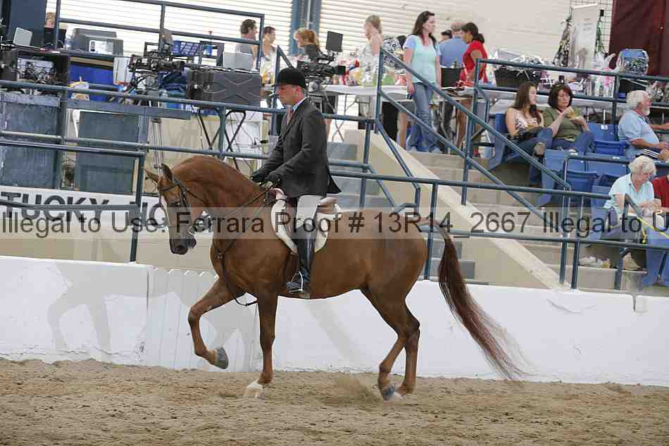 Proof 13r14_2667